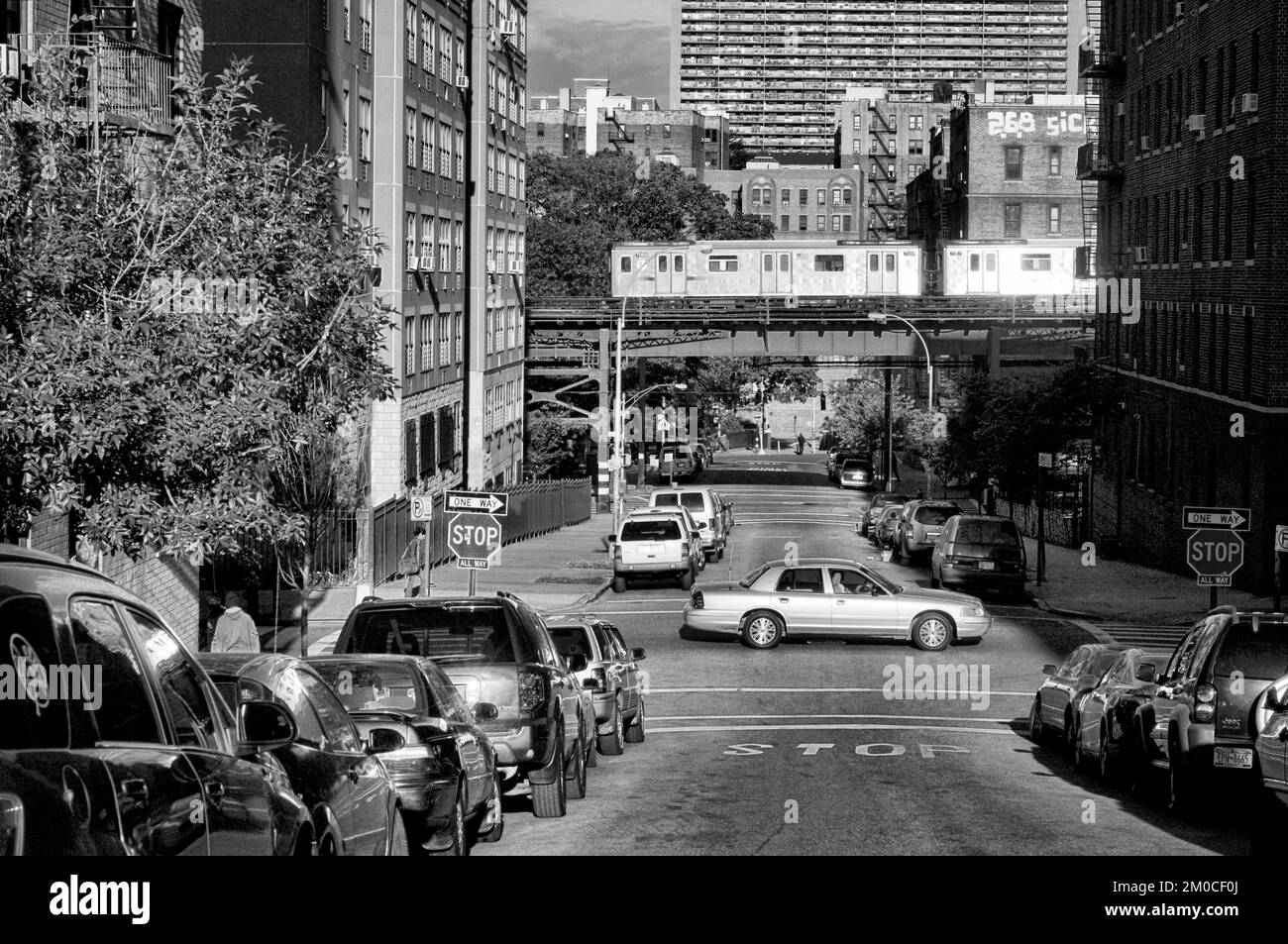 Paysage typique dans le Bronx au sous-sol haut en arrière-plan. New York, États-Unis Banque D'Images