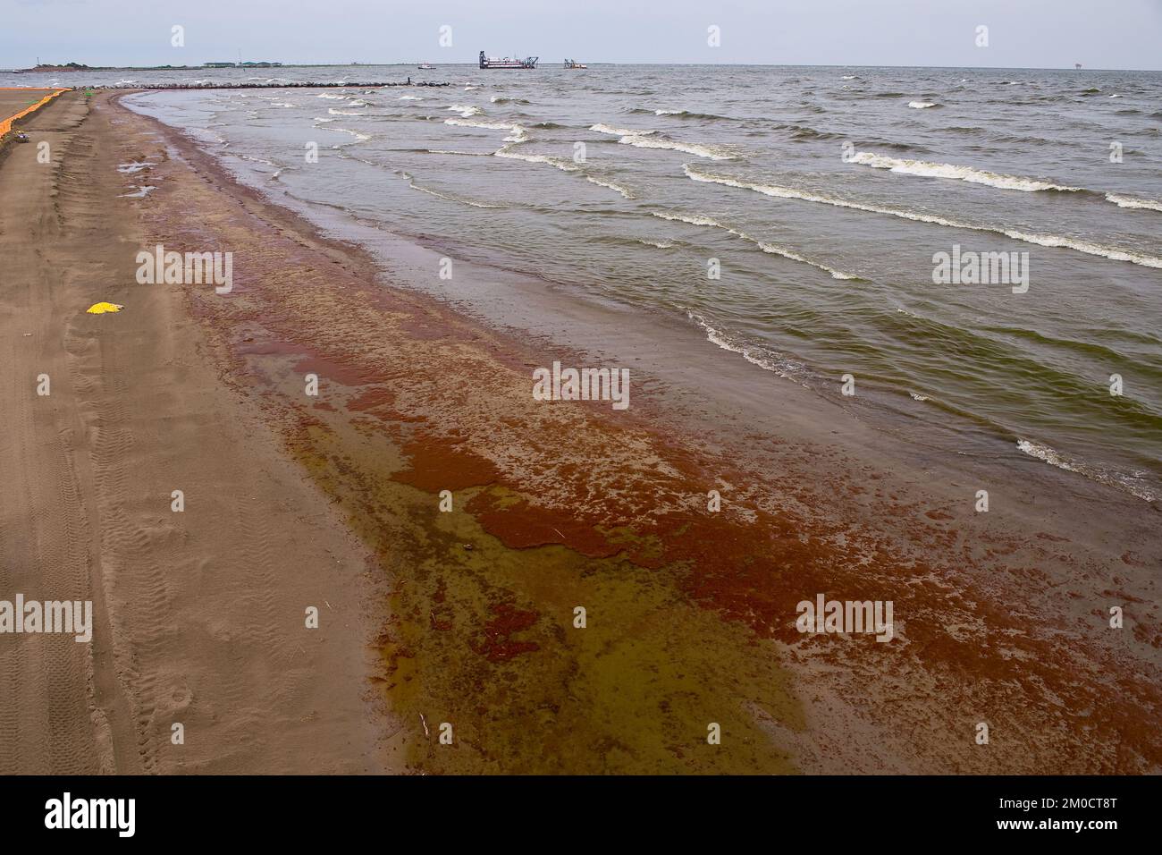 Bureau de l'Administrateur (Lisa P. Jackson) - Grand Isle (BP Oil Spill) - l'huile de BP Spill couvre la plage et la jetée du parc national de Grand Isle, Grand Isle, LA. Photo de l'USEPA par Eric Vance , Agence de protection de l'environnement Banque D'Images