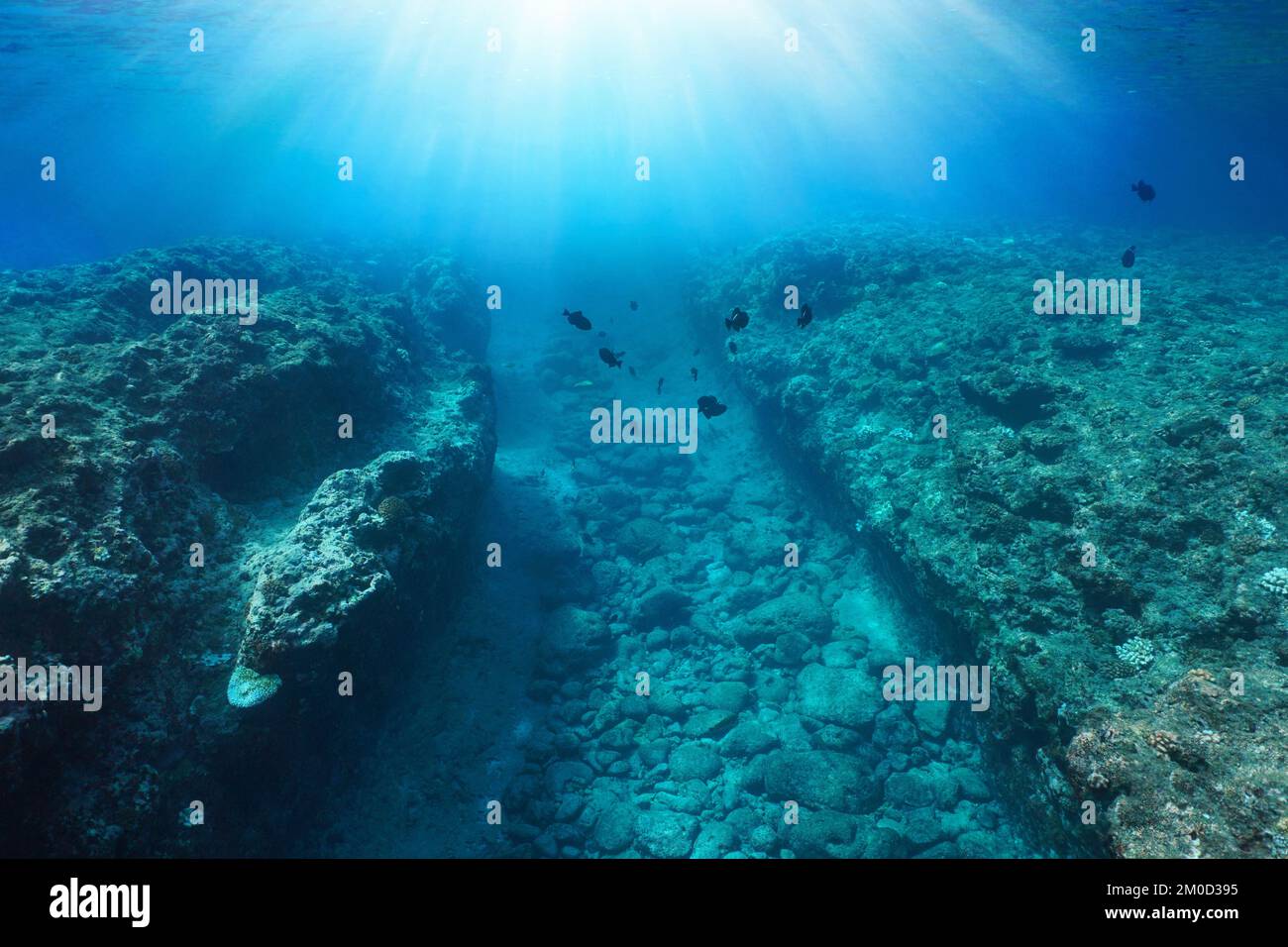 Tranchée dans le sol rocheux de l'océan avec la lumière du soleil et quelques poissons sous-marins paysage marin, océan Pacifique, Polynésie française Banque D'Images