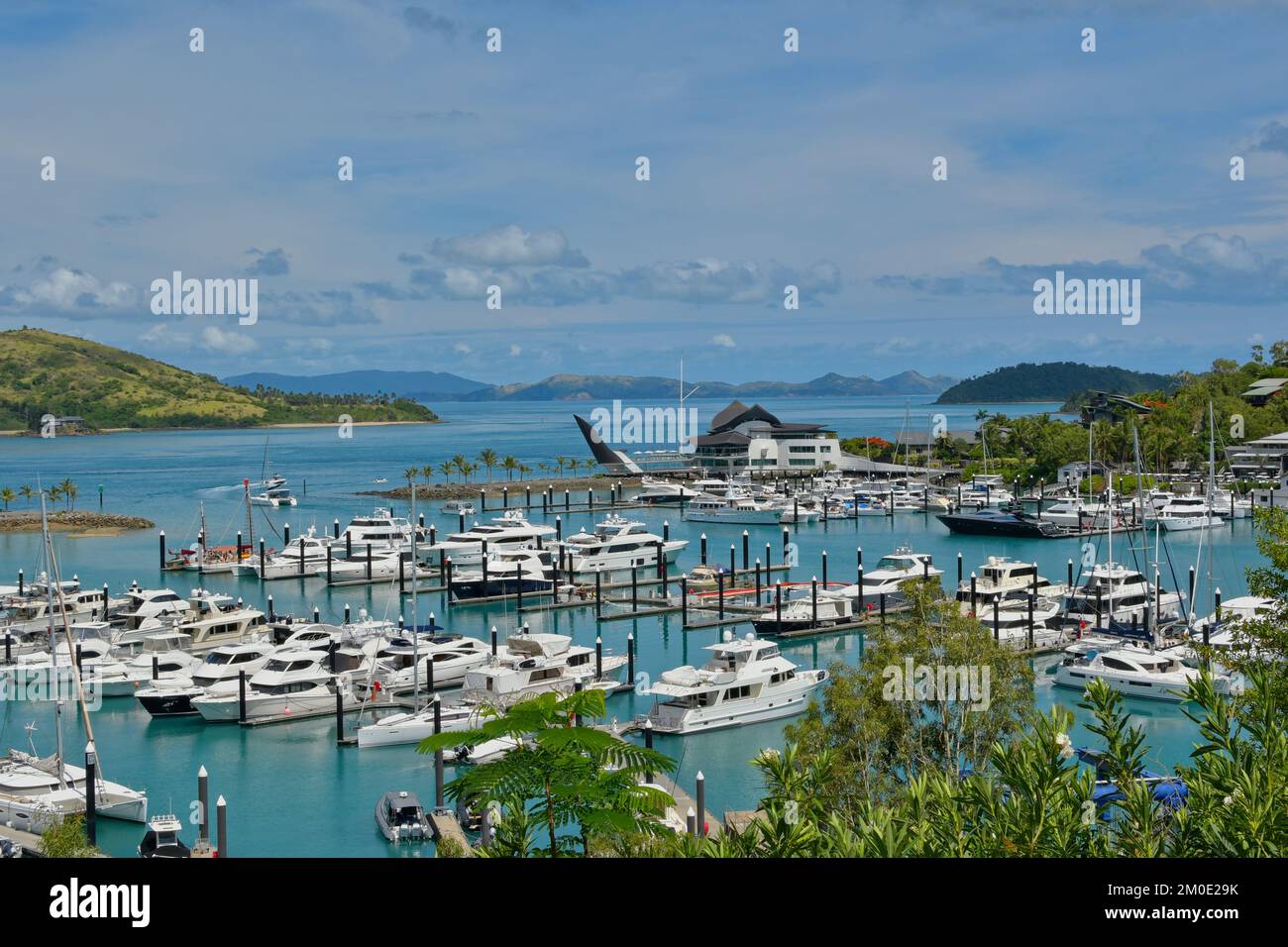 Île Hamilton, Queensland, Australie - 27 novembre 2022 : yachts à la marina de l'île Hamilton Banque D'Images