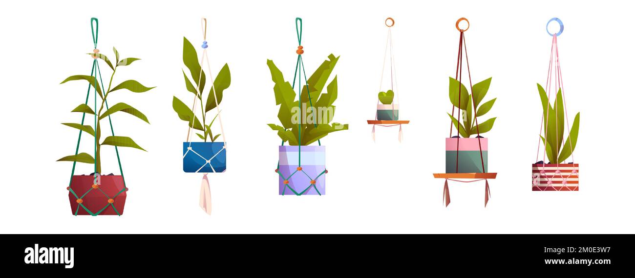 Cintres en forme de macrame avec plantes de maison en pots. Plantes de maison, fleurs avec feuilles vertes dans des supports faits à la main de corde isolée sur fond blanc, ensemble de dessins animés vectoriels Illustration de Vecteur