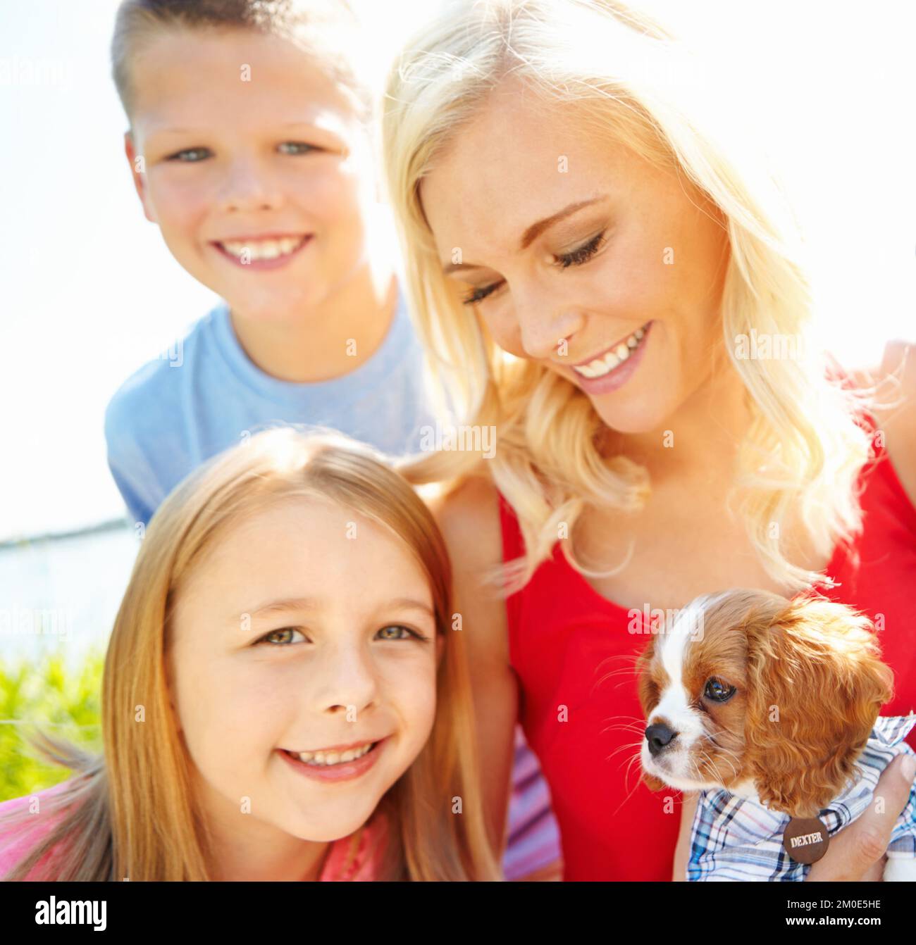 Nous aimons notre chiot. une mère avec ses deux enfants jouant avec un chiot à l'extérieur. Banque D'Images