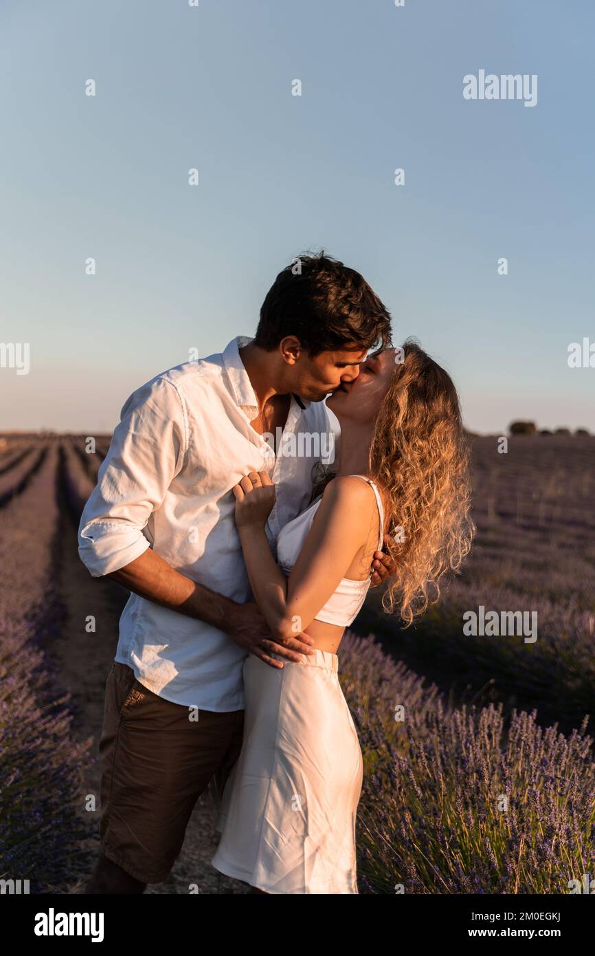 Photo verticale d'une scène romantique d'un couple embrassant dans un champ de lavande au coucher du soleil Banque D'Images