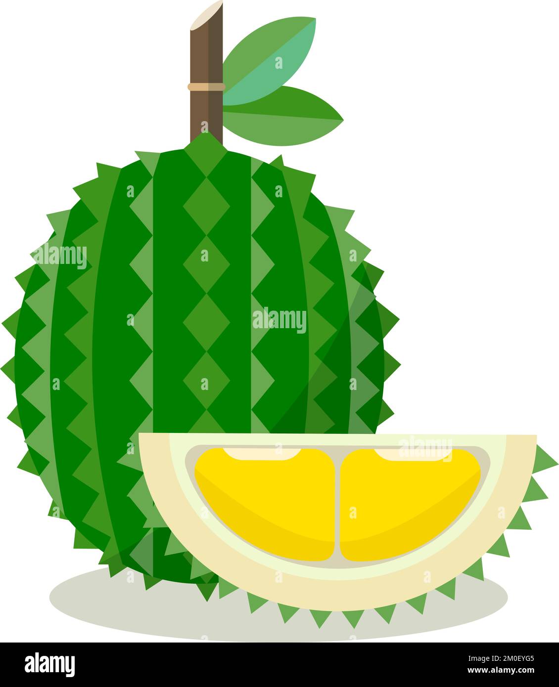 Illustration de vecteur de fond isolé de Durian avec fruits. Illustration de Vecteur
