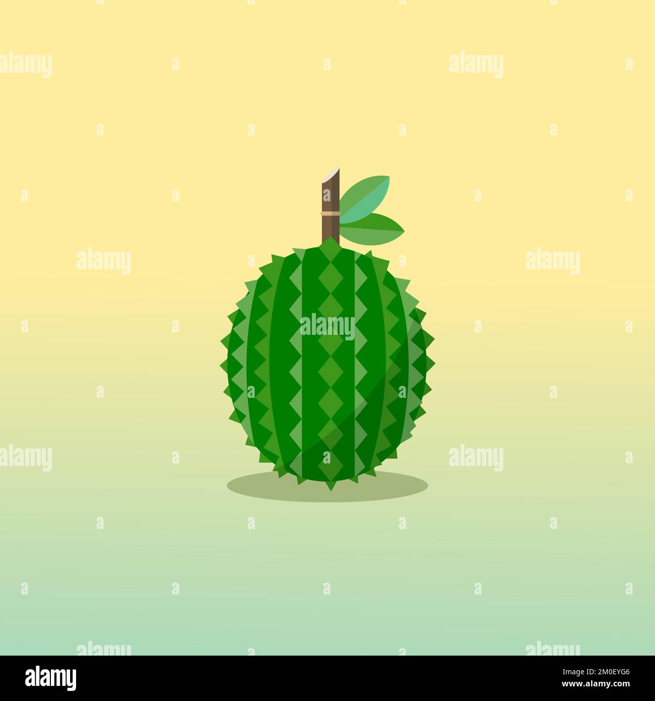 Illustration vectorielle de fruits duriens frais. Fruit tropical avec feuille.Roi de fruit Illustration de Vecteur