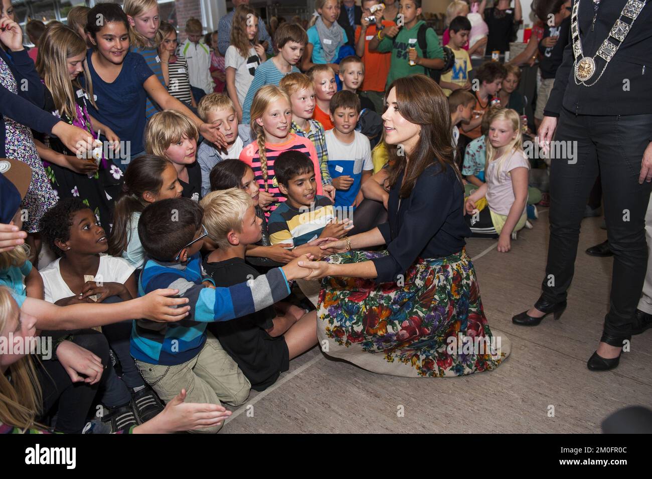 La princesse royale Marie ouvre la campagne de lecture des bibliothèques danoises « Livre de la couronne » à la bibliothèque Roskilde, vendredi 20 juin 2014 Banque D'Images