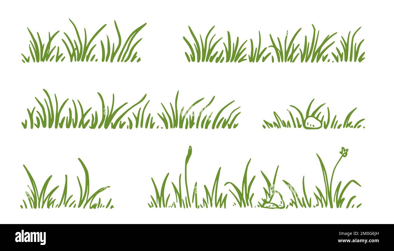 Ensemble de styles d'esquisse pour herbe. Tracé à la main, vert, contour du champ d'herbe, arrière-plan griffé. Sprout, fleur, éléments de trèfle. Illustration vectorielle. Illustration de Vecteur