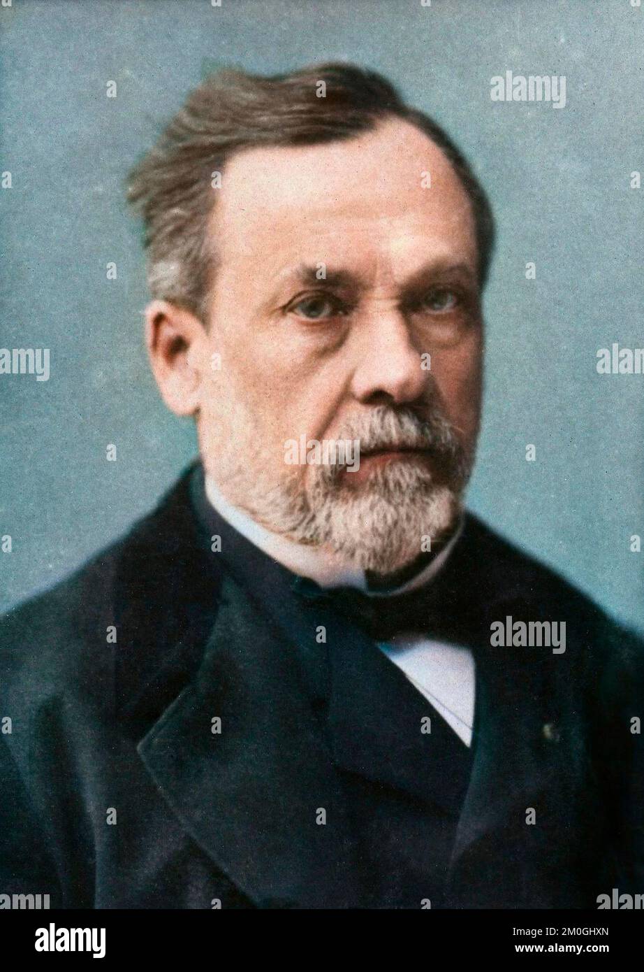 Portrait de Louis Pasteur (1822-1895), chimiste et microbiologiste français - Portrait de Louis Pasteur (1822-1895) chimiste et physicien francais Banque D'Images