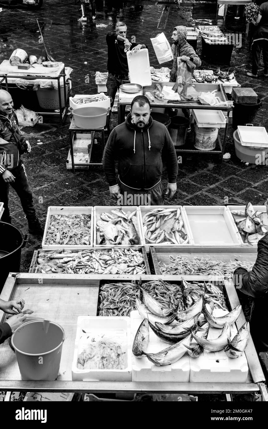 Poisson frais/fruits de mer à vendre au Daily Fish Market, Catane, Sicile, Italie. Banque D'Images