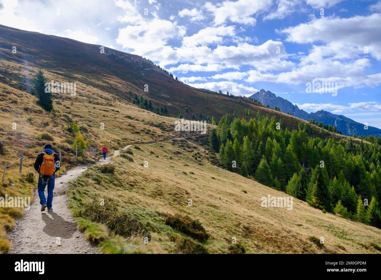 Randonneurs sur le chemin panoramique vers le Staffelalm, pâturage du dimanche, Klammeben sur le Hirzer près de Salteus, vallée de Passier, Tyrol du Sud, Italie, Europe Banque D'Images