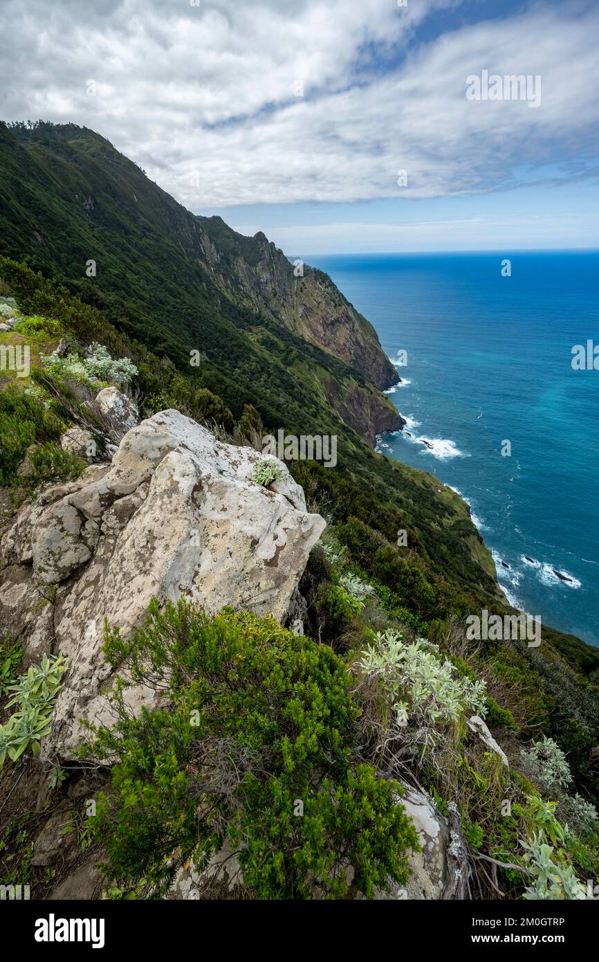 Vue sur la côte et la mer escarpées, paysage côtier, sentier de randonnée Vereda do Larano, Madère, Portugal, Europe Banque D'Images