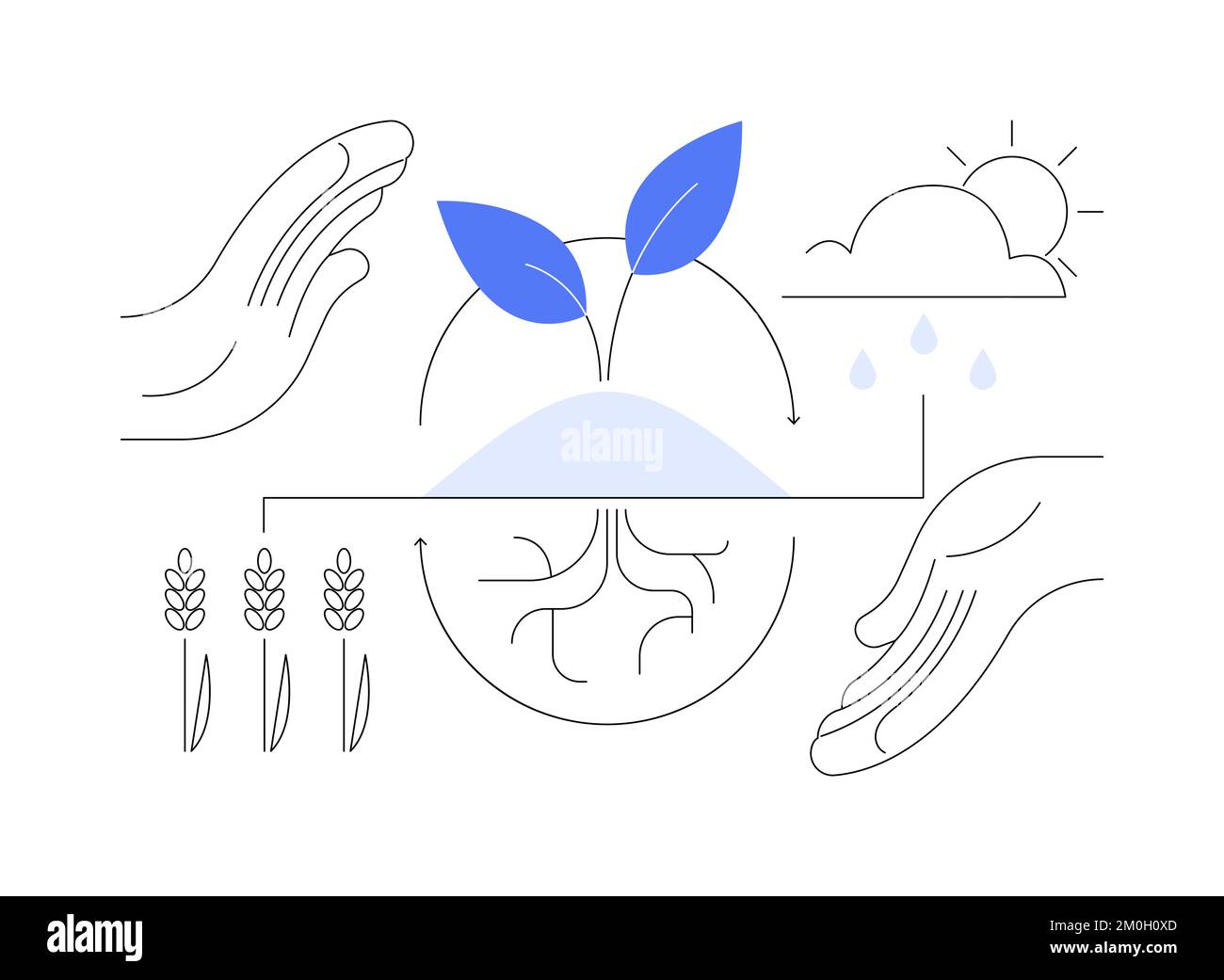 Agriculture régénératrice résumé concept illustration vectorielle. Illustration de Vecteur