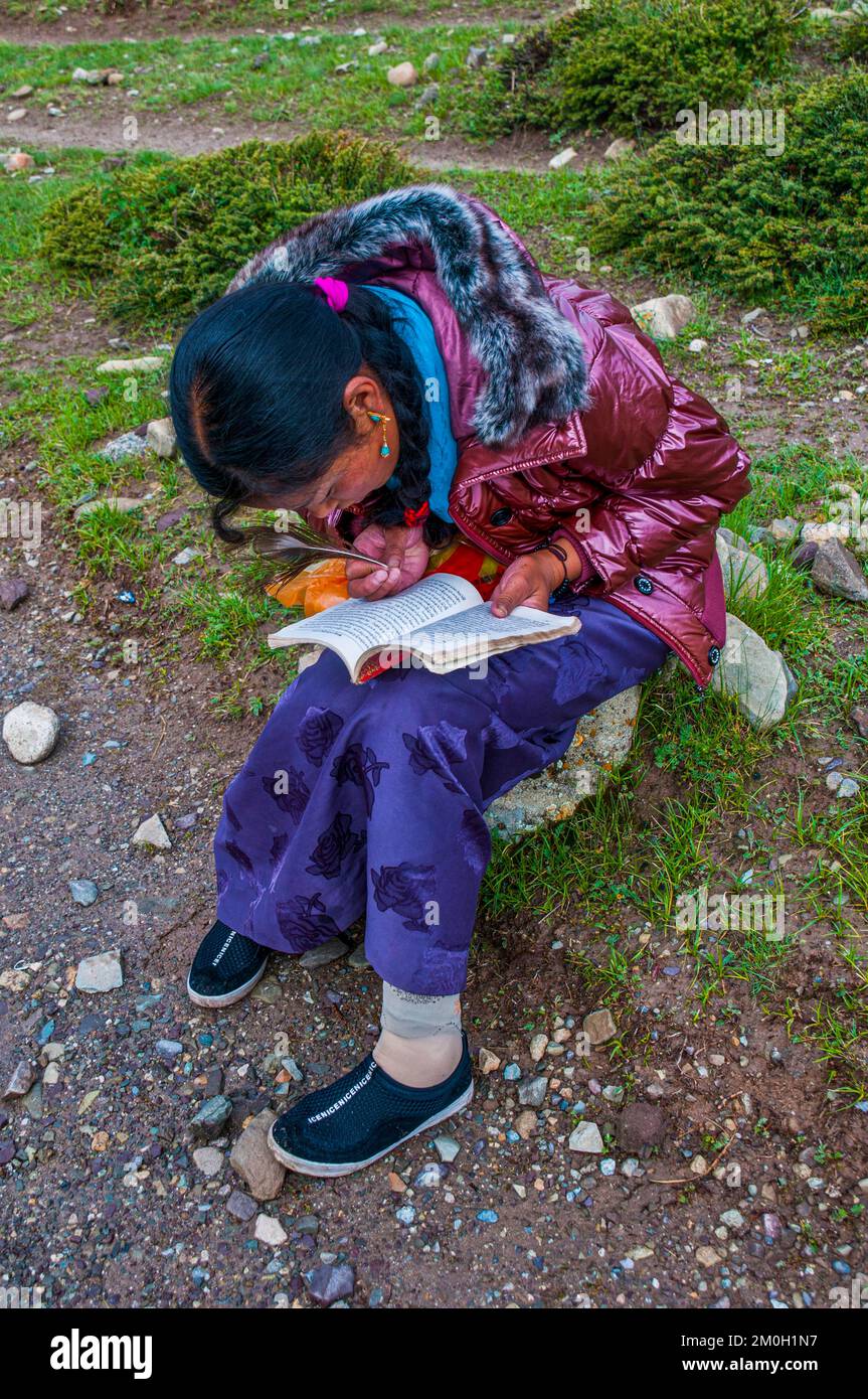 Étudiant écrivant avec une plume paysanne, Kailash Kora, Tibet occidental, Asie Banque D'Images