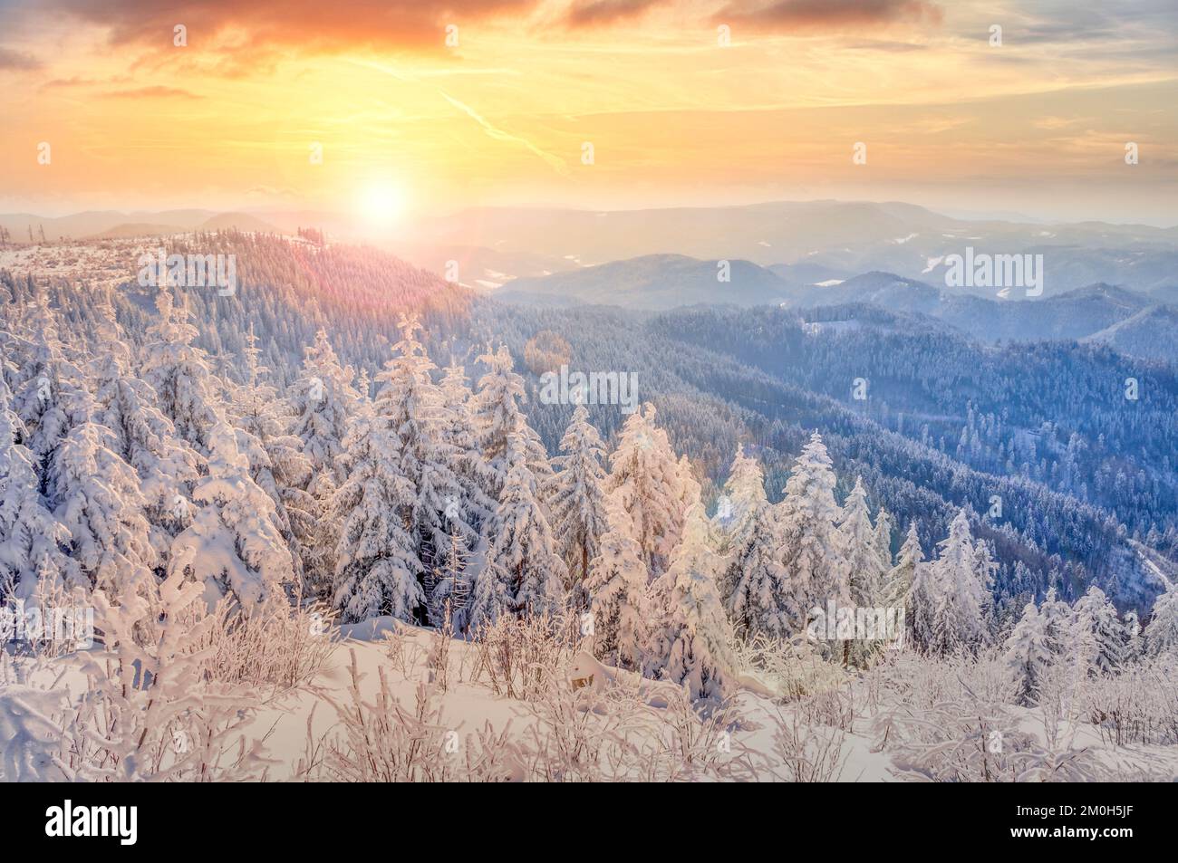 Forêt noire, paysage d'hiver, allemagne Banque D'Images