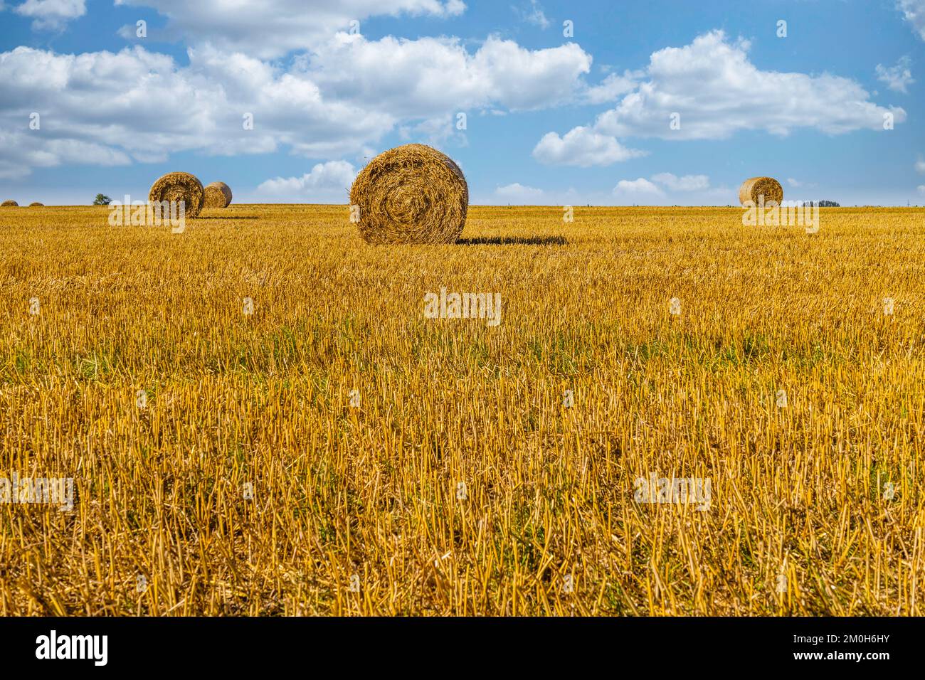 Agriculture champ après récolte avec de grandes balles de foin dans un champ de blé. Banque D'Images
