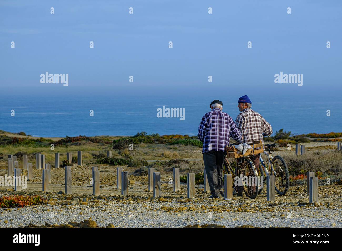 Portugal, Alentejo, Parc naturel du sud-ouest Alentejano et Costa Vicentina, paysage, falaise Banque D'Images