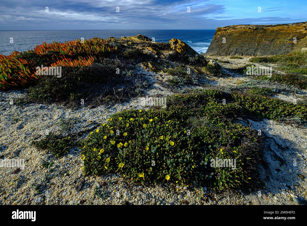 Portugal, Alentejo, Parc naturel du sud-ouest Alentejano et Costa Vicentina, paysage, falaise Banque D'Images