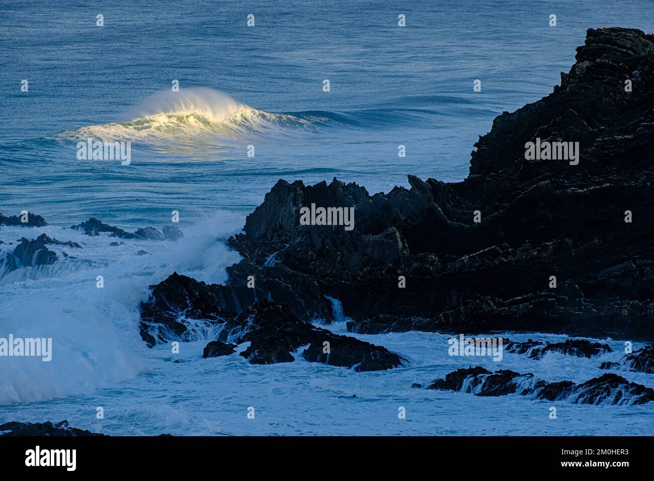 Portugal, Alentejo, Parc naturel du sud-ouest Alentejano et Costa Vicentina, paysage, falaise Banque D'Images