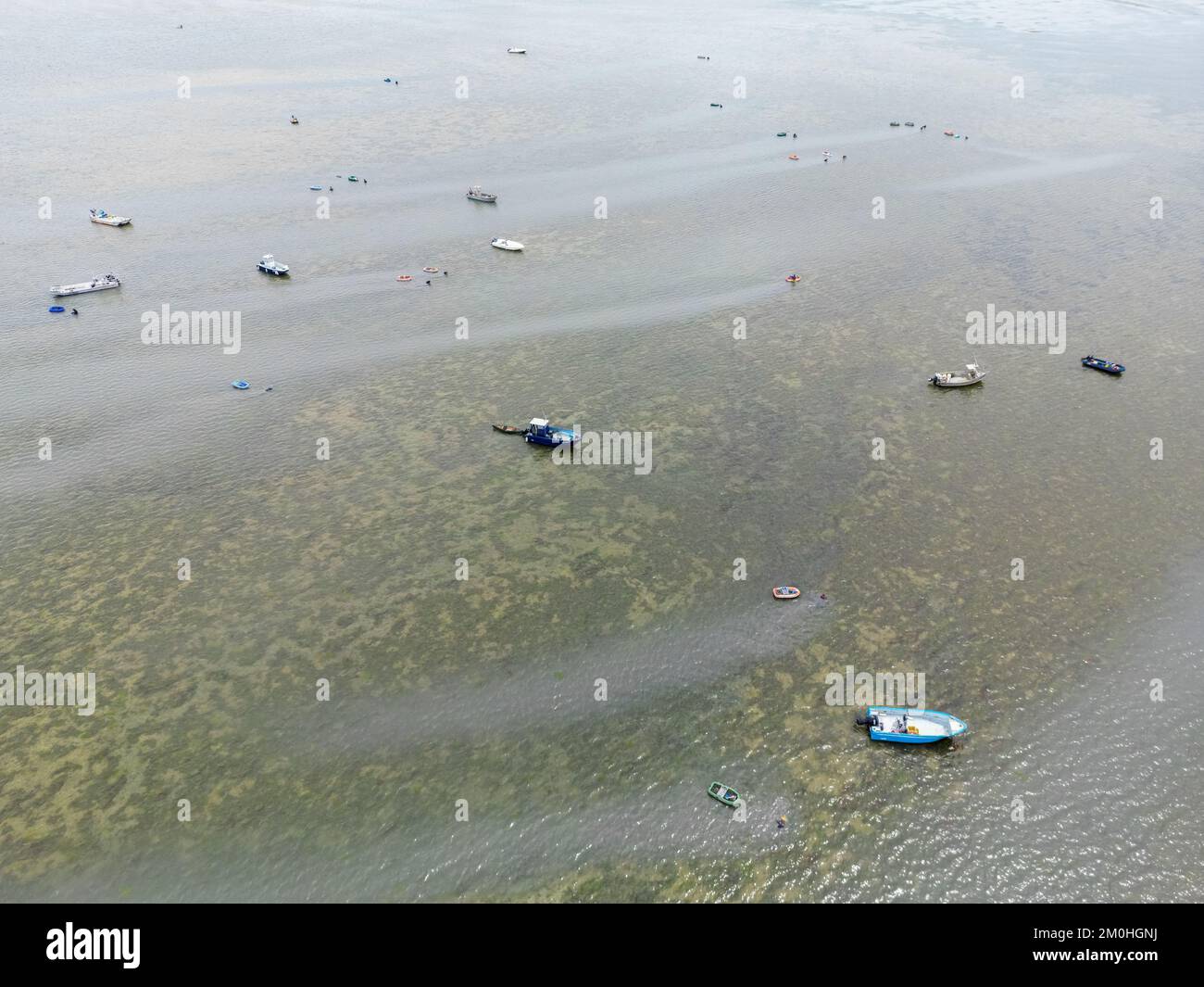 France, Morbihan, Sarzeau, pêche aux palourdes dans le golfe du Morbihan (vue aérienne) Banque D'Images