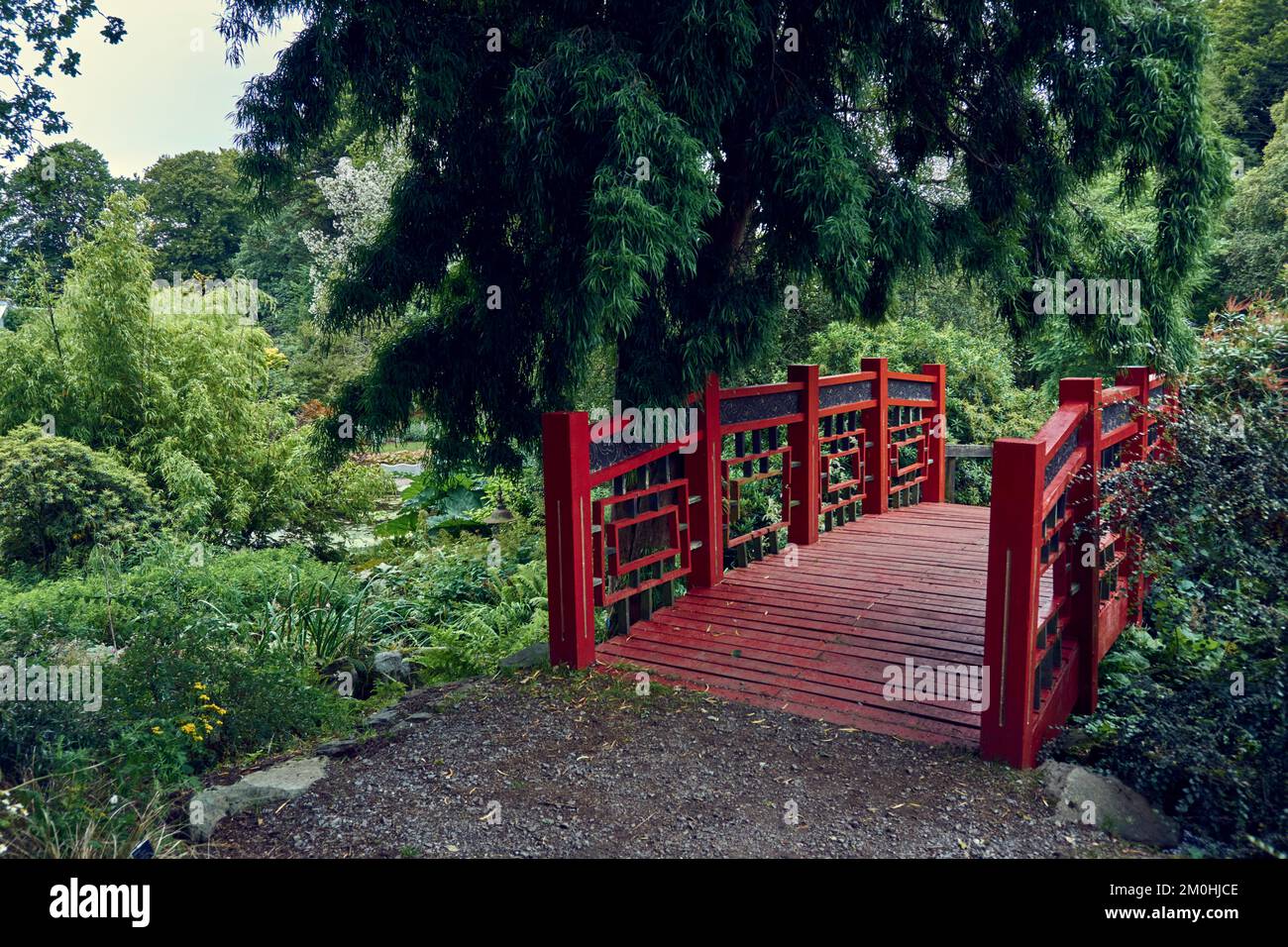 Pont en bois rouge de style chinois aux jardins de Threave près du château Douglas à Dumfries et Galloway, en Écosse. Banque D'Images