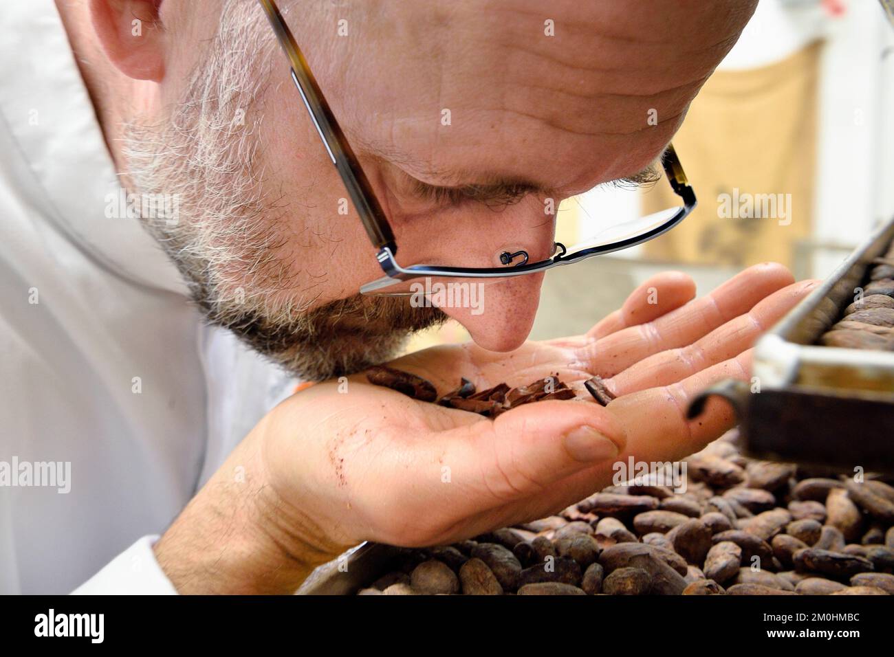 France, Bas Rhin, Munlhdolseim, chocolatier pâtissier Thierry Mulhaupt dans son atelier, il produit ou sélectionne personnellement ses fèves de cacao pour ses créations chocolatées Banque D'Images