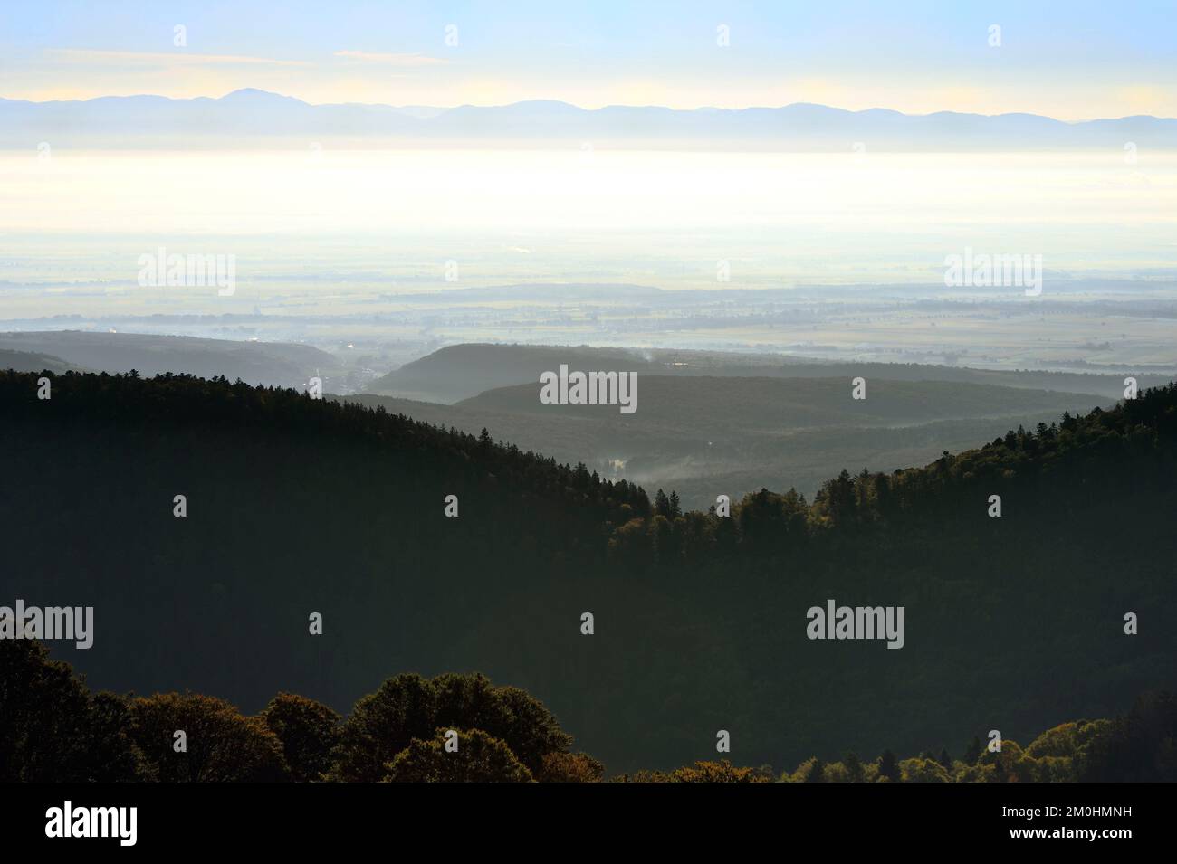 France, Haut Rhin, Wasserbourg, massif des Vosges bordant la plaine d'Alsace sur la montagne du petit ballon, la Forêt Noire en arrière-plan Banque D'Images