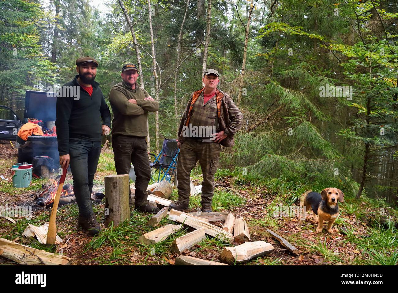 France, Haut Rhin, Thannenkirch, massif de Taennchel, camp temporaire de trois bûcherons communautaires présents pour replanter des sapins de Douglas autour du Rocher des Geants Banque D'Images