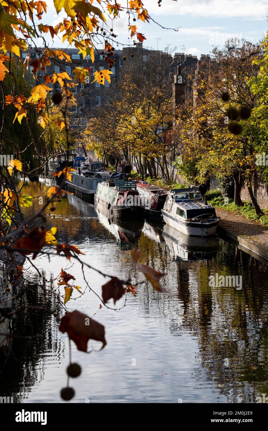 Bateaux de la maison sur le canal Regent's à Primrose Hill, Camden, Londres. Photographié lors d'un hiver froid et lumineux. Banque D'Images