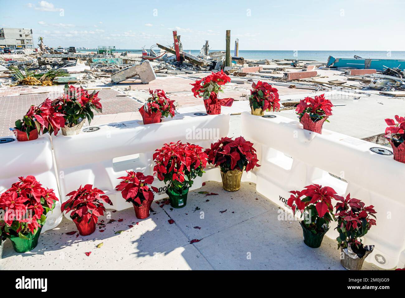 Fort ft. Myers Beach Florida,Estero Island Estero Boulevard,fort Myers Fishing Pier Christmas poinsettias Memorial,entreprises Hurricane Ian d Banque D'Images