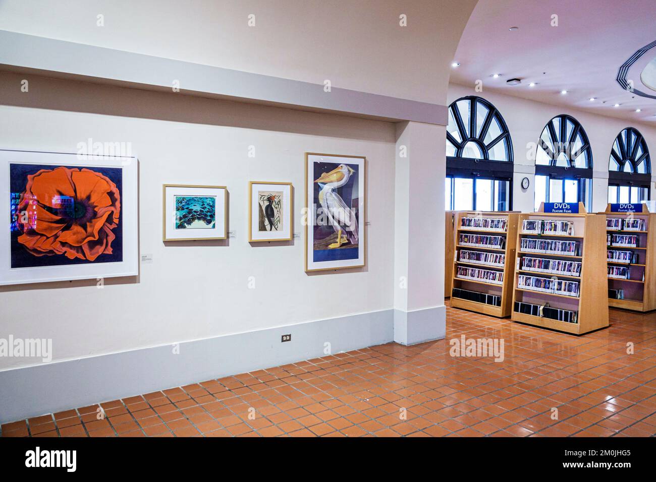 Miami Florida, bibliothèque principale, intérieur, livres d'art Banque D'Images