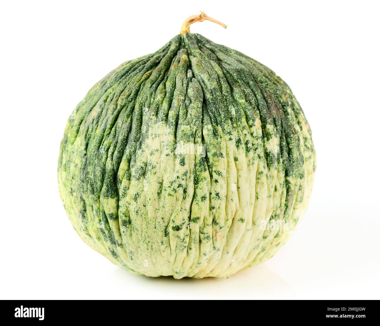 Melon vert inhabituel isolé sur fond blanc Banque D'Images