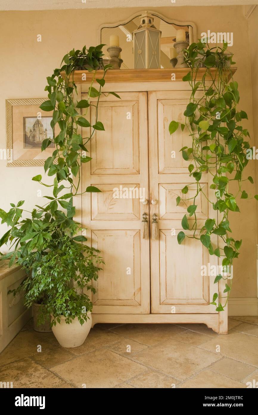 Armoire en bois blanchie avec des plantes en cascade dans la chambre principale dans le grenier à l'intérieur de la vieille maison de style chalet de 1840. Banque D'Images