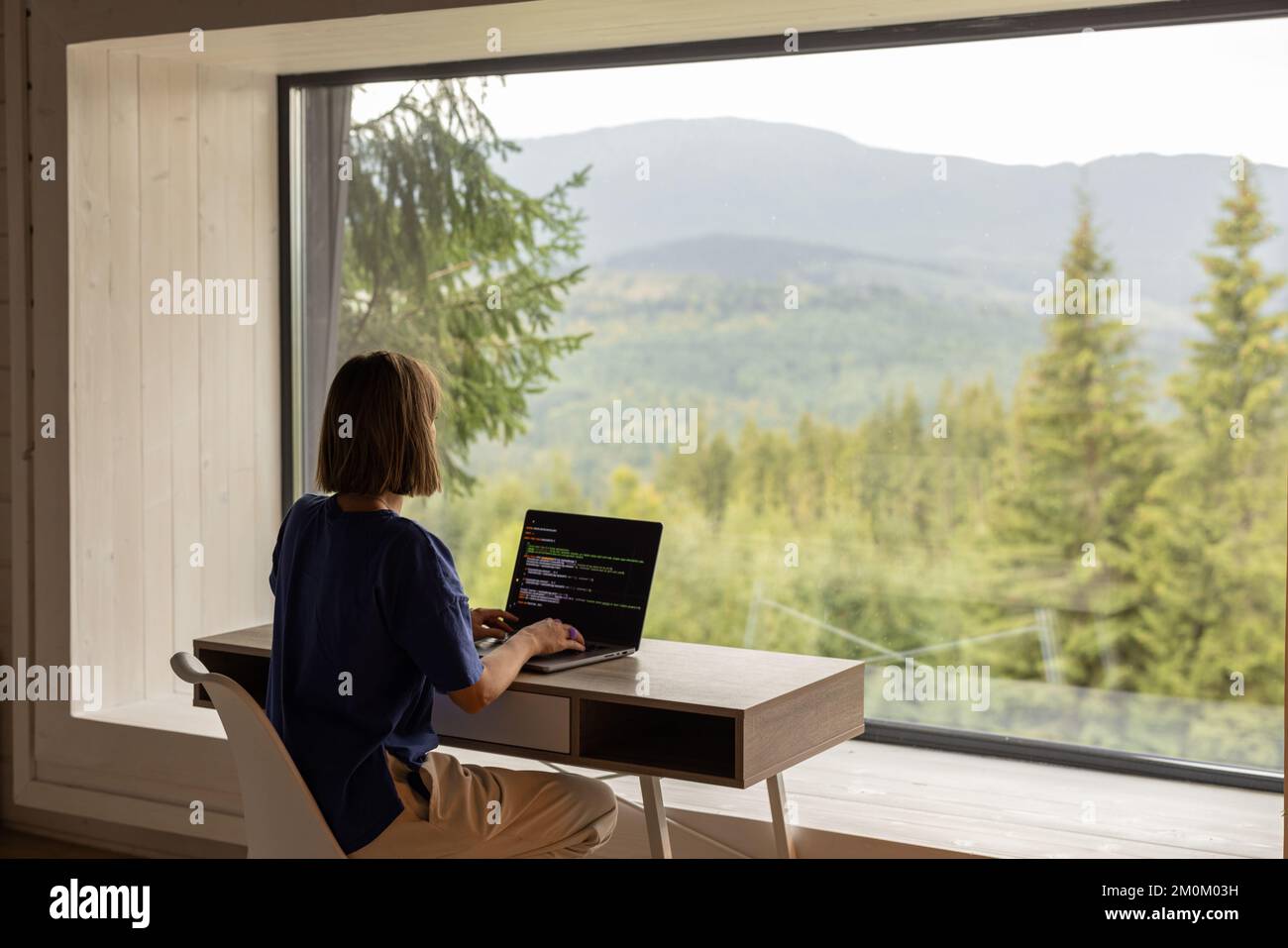 Femme travaille sur ordinateur portable à distance dans la maison sur la nature Banque D'Images