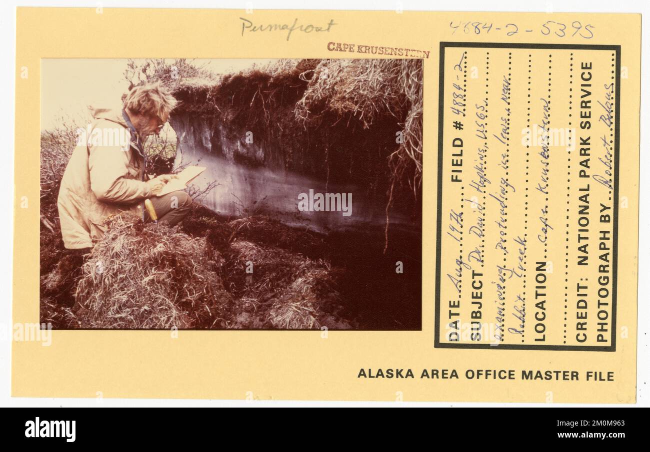 Dr David Hopkins, USGS, examinant la glace saillante, près du ruisseau Rabbit. Photographies du Groupe de travail de l'Alaska Banque D'Images