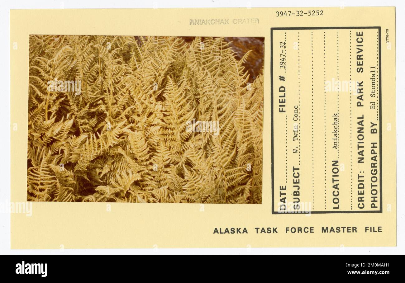 Avec double cône. Photographies du Groupe de travail de l'Alaska Banque D'Images