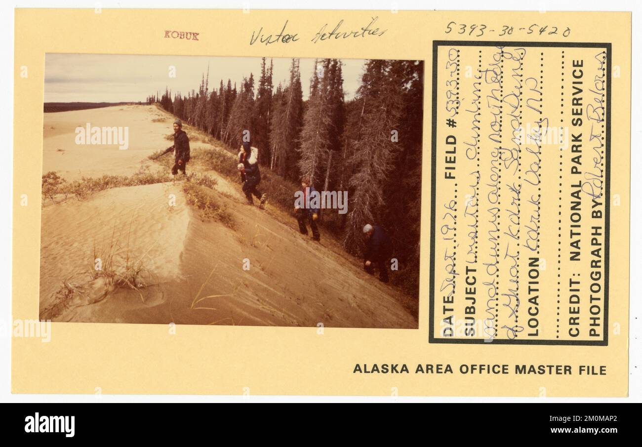 Les visiteurs grimpent les dunes de sable le long de la limite nord des dunes de sable de Great Kobuk. Photographies du Groupe de travail de l'Alaska Banque D'Images