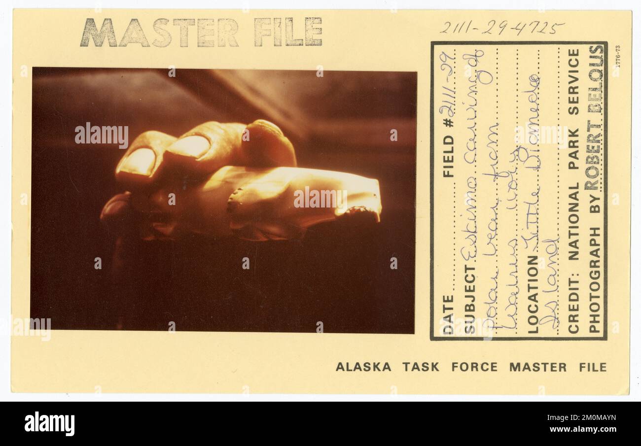 Sculpture esquimau d'ours polaire en ivoire de morse. Photographies du Groupe de travail de l'Alaska Banque D'Images