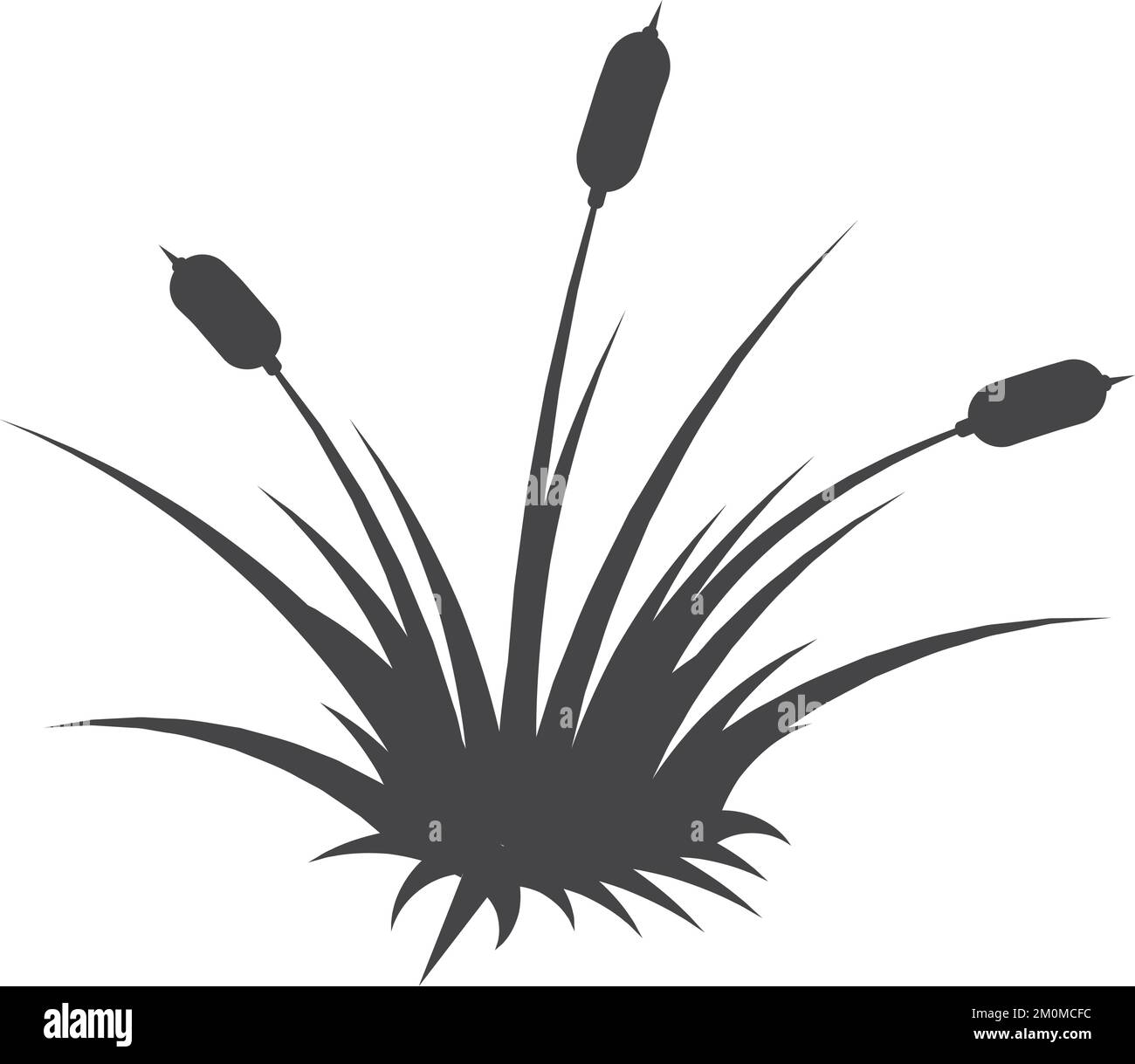 Silhouette de BulRush. Icône de plante naturelle de la zone humide noire Illustration de Vecteur