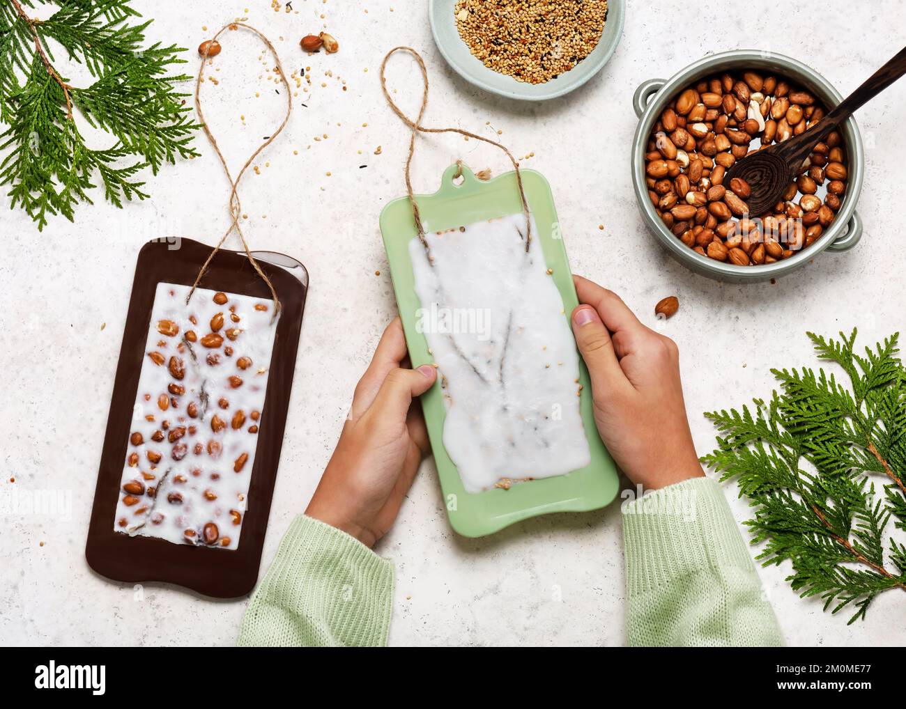 Étape 4. Laisser l'huile de coco liquide solidifier. Simple fait maison mangeoire à oiseaux pour enfants artisanat et aide animaux sauvages concept. Pose à plat. Banque D'Images