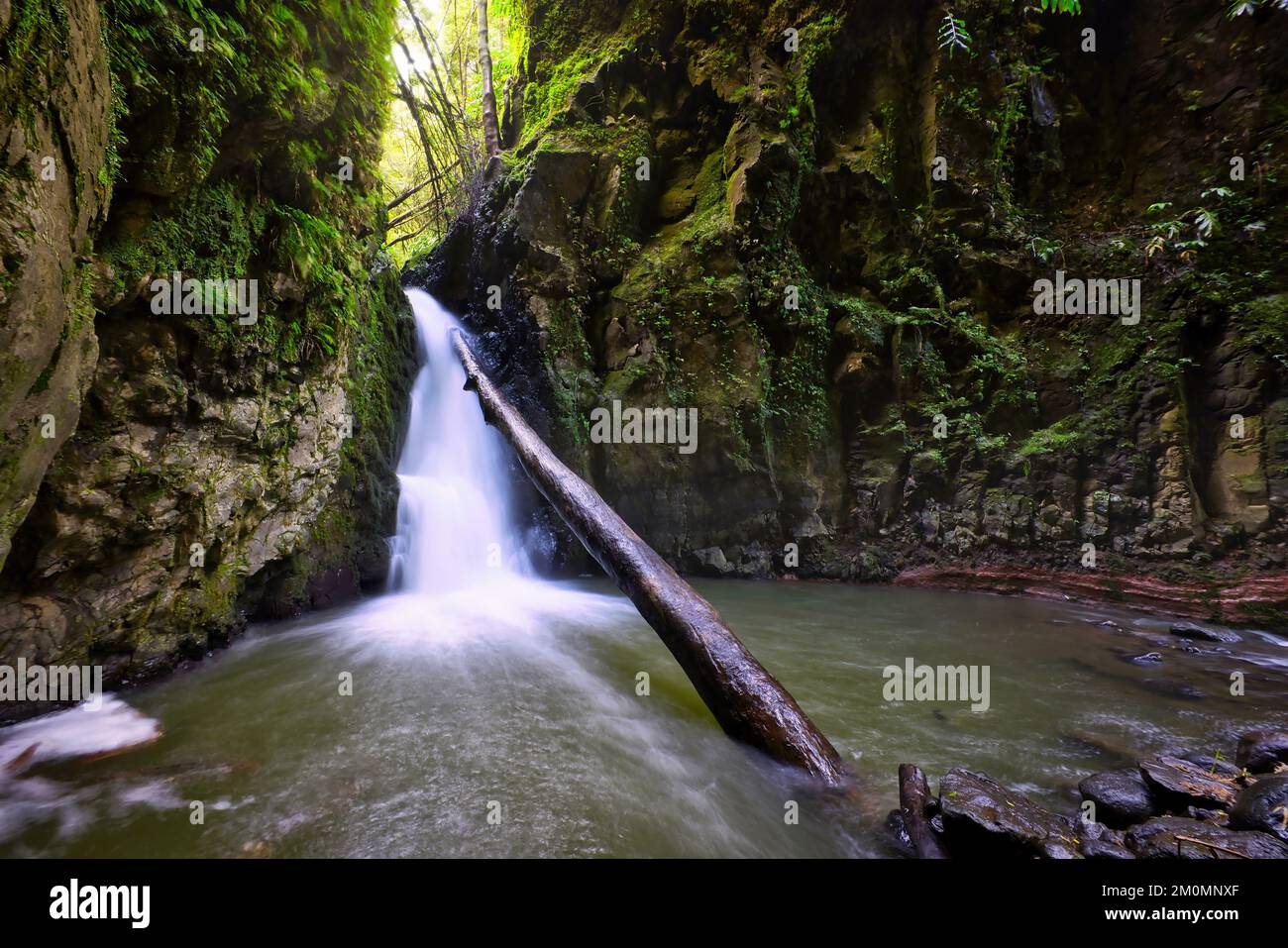 N'Cagarrao Salto cascade située sur la rivière Prego, île de São Miguel, Açores, Portugal Banque D'Images