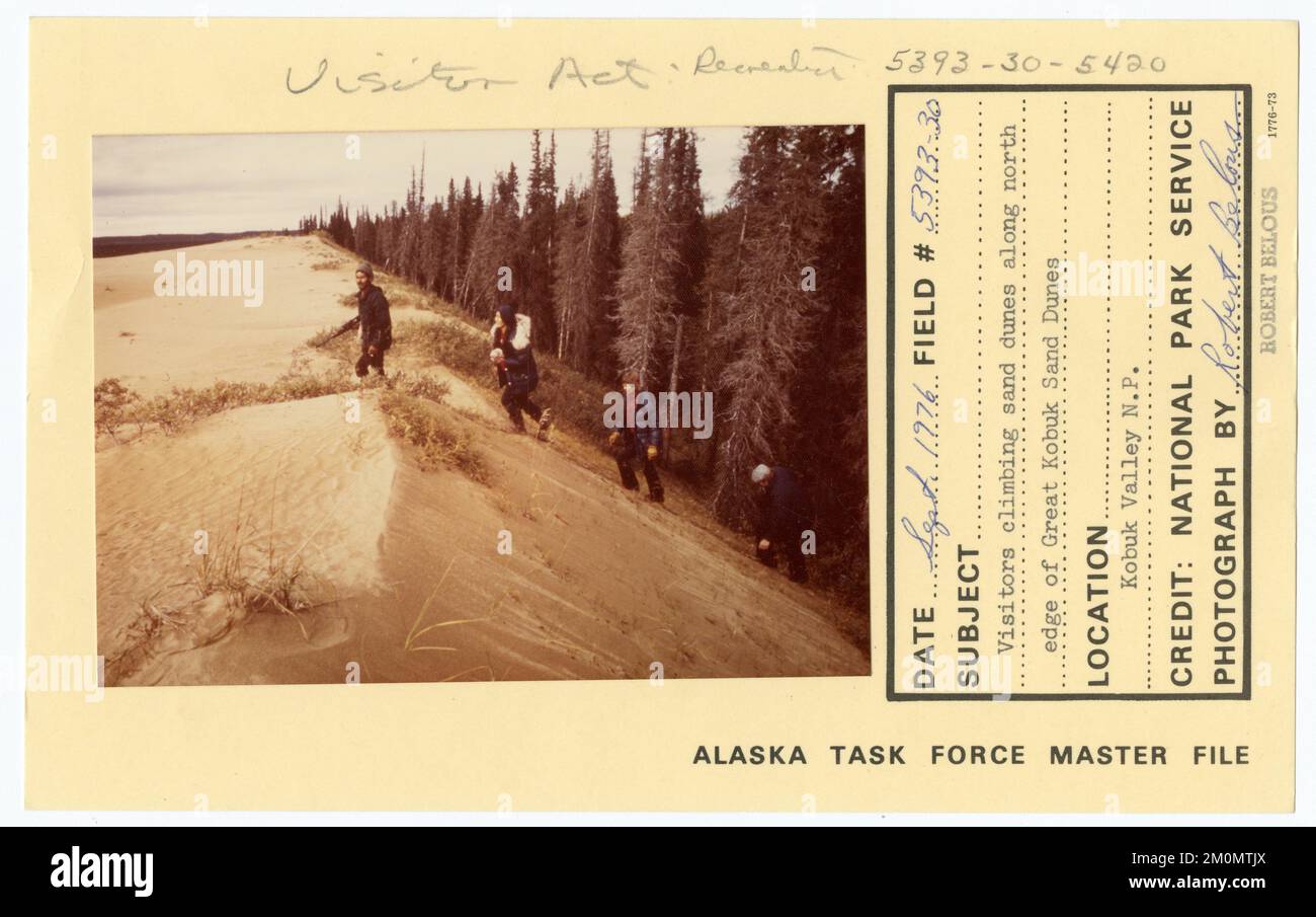 Les visiteurs grimpent les dunes de sable le long de la limite nord des dunes de sable de Great Kobuk. Photographies du Groupe de travail de l'Alaska Banque D'Images