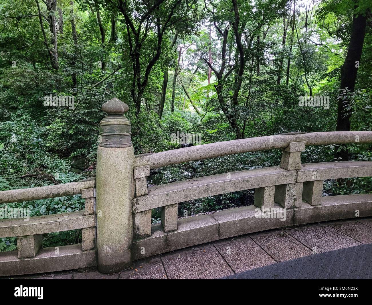 Pont de pierre japonais dans la forêt au sanctuaire Meiji Jingu à Tokyo, Japon Banque D'Images