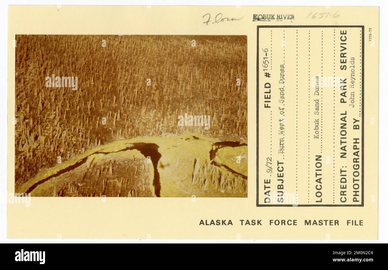 Brûlez à l'ouest de Sand Dunes. Photographies du Groupe de travail de l'Alaska Banque D'Images