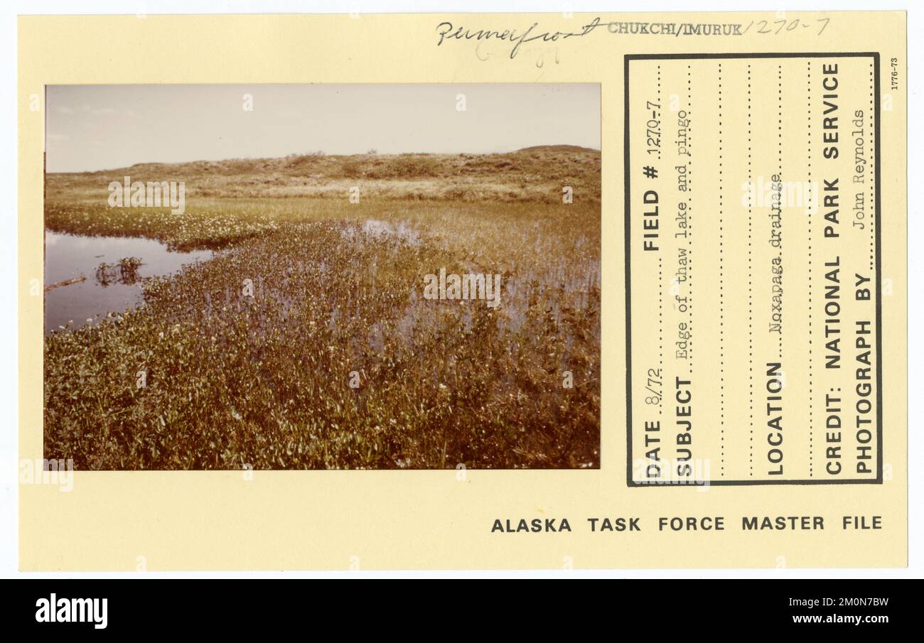 Bord du lac de dégel et pingo. Photographies du Groupe de travail de l'Alaska Banque D'Images