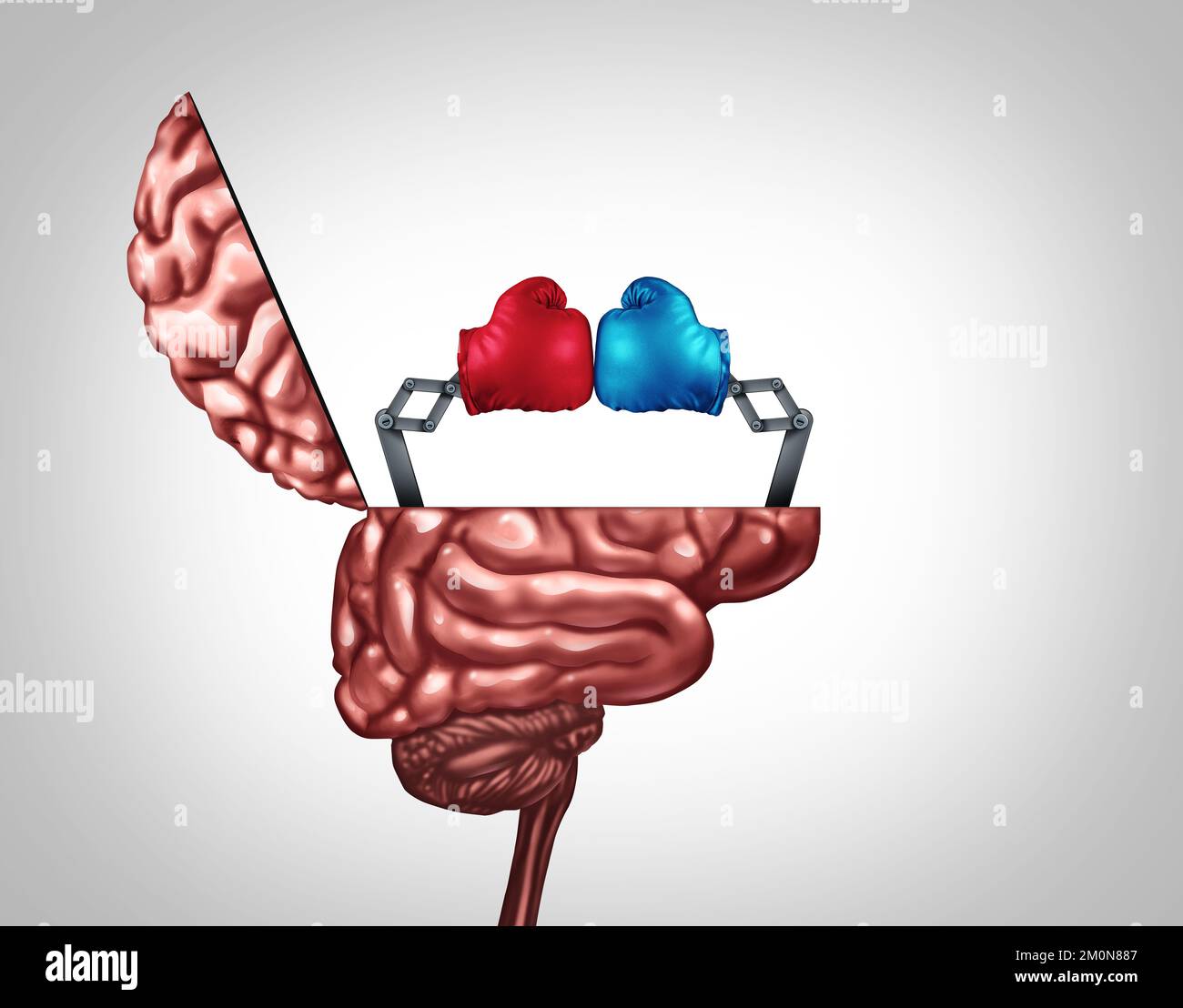 Dissonance cognitive et rationalisation comme raisonnement logique ou maladie mentale comme conflit mental et cérébral troublé Banque D'Images
