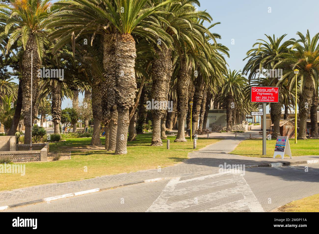 Swakopmund, Namibie - 03 octobre 2018 : promenade à Swakopmund. Végétation exotique. Banque D'Images