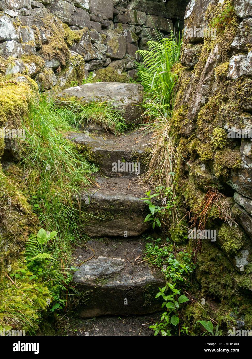 Vieux escaliers escalier dans les ruines de Totaig Broch (Caivol Grugaig) un ancien Scottish Iron Age roundhouse, Letterfearn, Highland, Ecosse, Royaume-Uni Banque D'Images