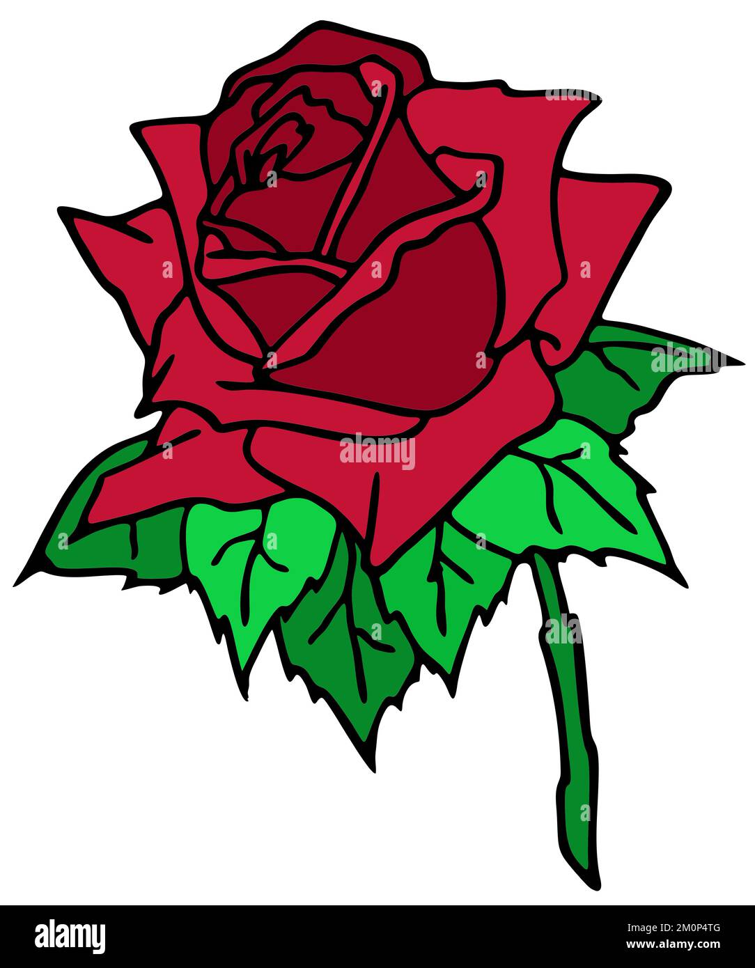 dessin de branche de rose avec fleur rouge et feuilles, élément isolé, conception Banque D'Images