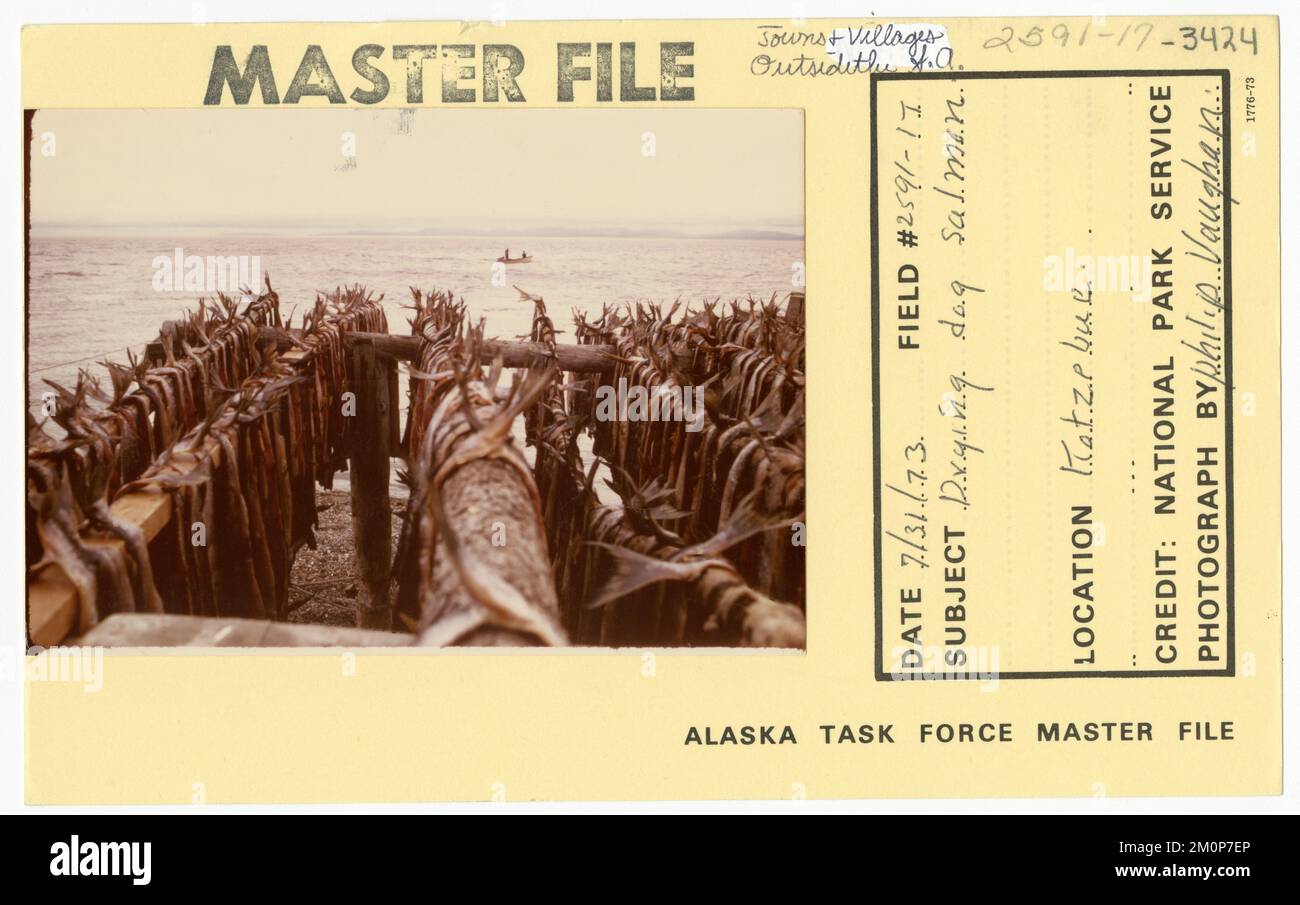 Séchage du saumon de chien. Photographies du Groupe de travail de l'Alaska Banque D'Images