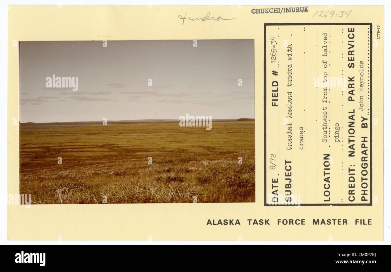 Toundra côtière des basses terres avec grues. Photographies du Groupe de travail de l'Alaska Banque D'Images
